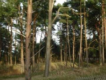 Ferienwohnung für 4 Personen in Ostseebad Trassenheide, Karlshagen, Bild 4