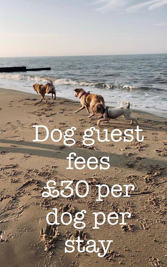 Coastal Terrace Dogs Welcome optional Hot Tub in Sea Palling, The Broads