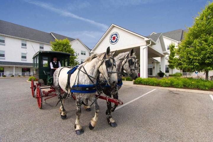 Hotel voor 4 personen, with whirlpool and tuin as well as zwembad - 1
