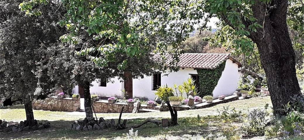 Chambre d’hôte pour 4 personnes, avec Terrasse ainsi que Jardin et Vue à Sòrgono