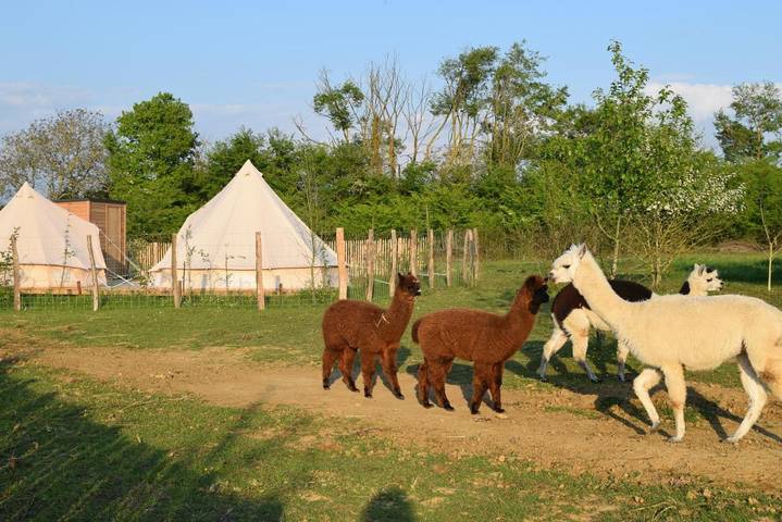 Gîte pour 7 personnes, avec jardin ainsi que piscine et terrasse dans Tuffalun - 4