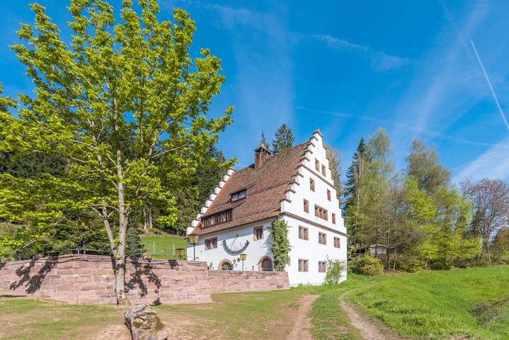 Ferienhaus für 22 Personen, mit Terrasse in Freudenstadt - 4