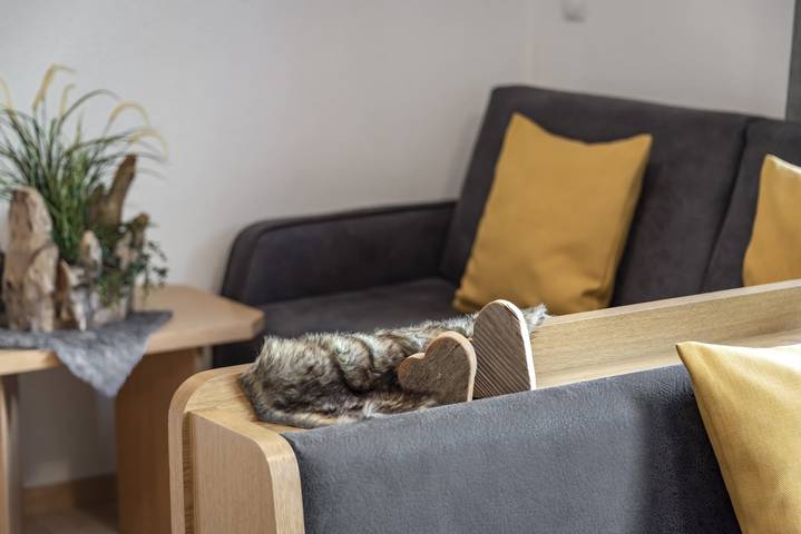 Hütte für 6 Personen, mit Sauna und Garten in Ahrntal - 4