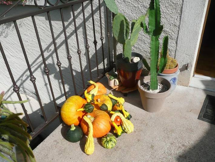 Location de vacances pour 4 personnes à Bonvillet - 3