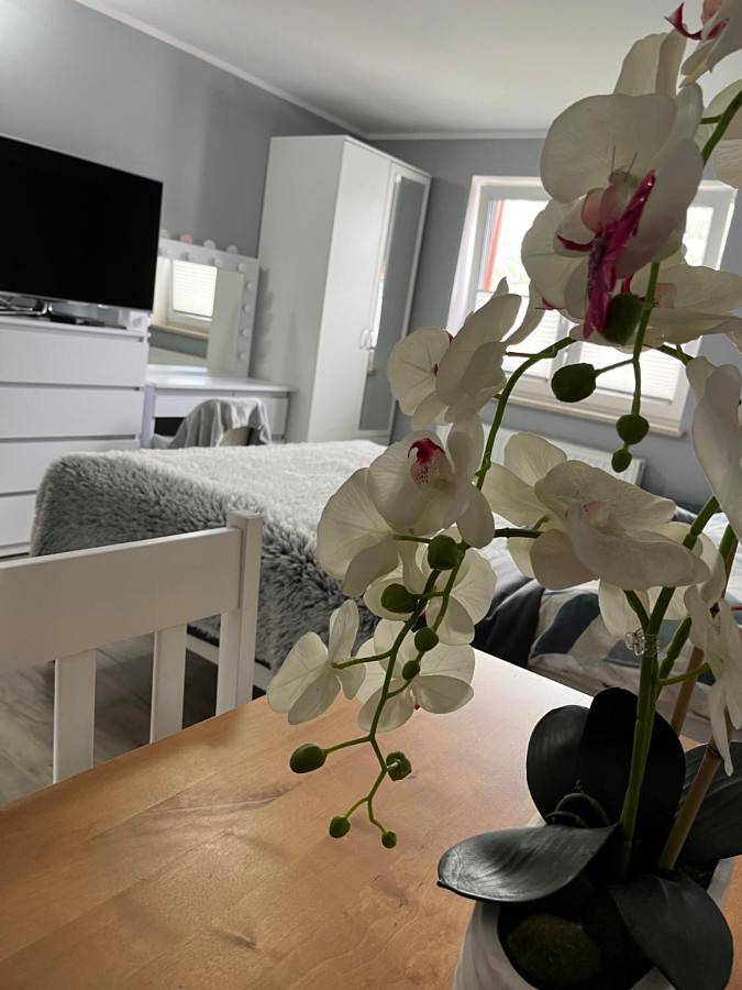 Ganze Ferienwohnung, Classic Triple Room in Jarosławiec, Powiat Sławieński