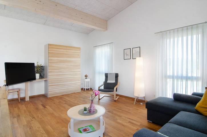 Ganze Wohnung, Deluxe Ferienwohnung 'Ahorn' mit Gemeinschaftsterrasse, Balkon und WLAN in Pfullendorf, Region Bodensee-Oberschwaben