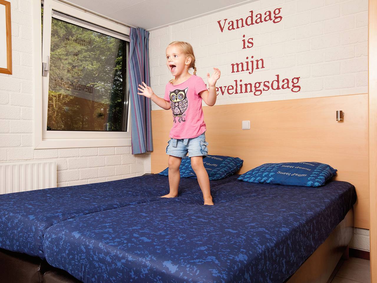Bungalow in Niederlande mit Sauna & Privatsphäre in Kootwijk, Hoge Veluwe