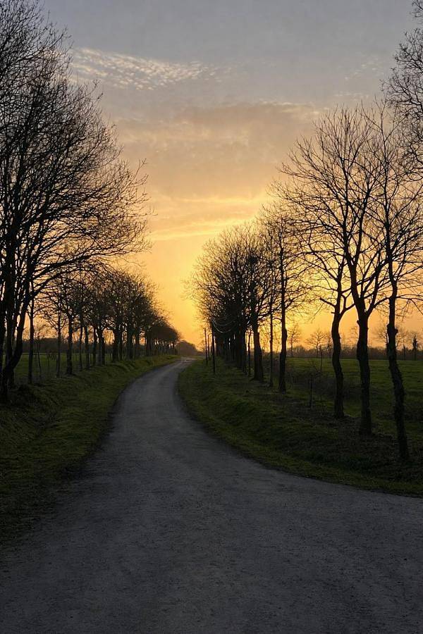 Location de vacances pour 2 personnes, avec terrasse et jardin ainsi que vue et piscine à Plouagat - 4