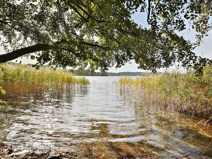 Ferienwohnung für 4 Personen, mit Balkon, kinderfreundlich in Pönitz am See - 4