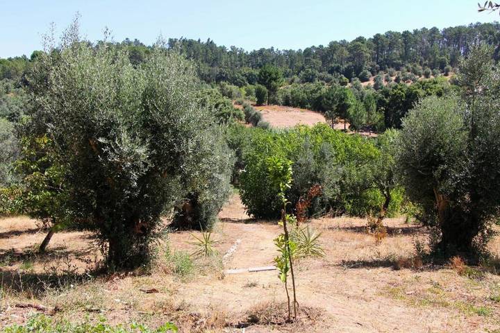 Maison d’hôte pour 2 personnes, avec jardin et vue à Tomar - 4