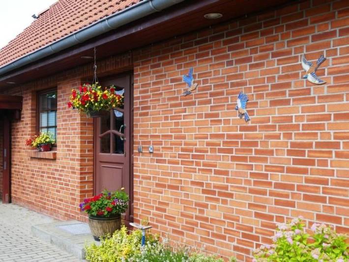 Ganze Wohnung, Schwalbenring in Rövershagen, Rostock und Umgebung