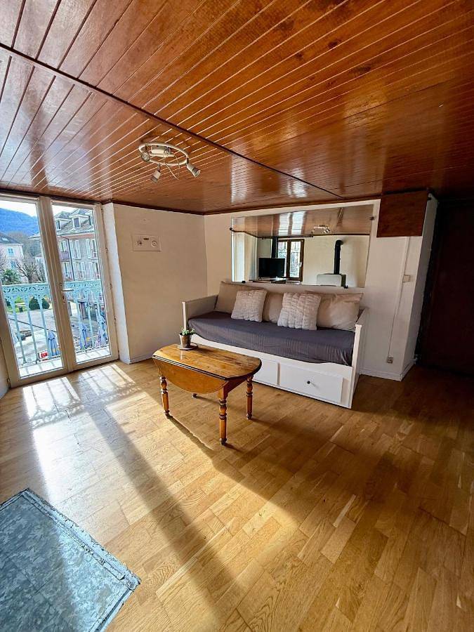 Appartement entier, Face au chateau in Vizille, Isère
