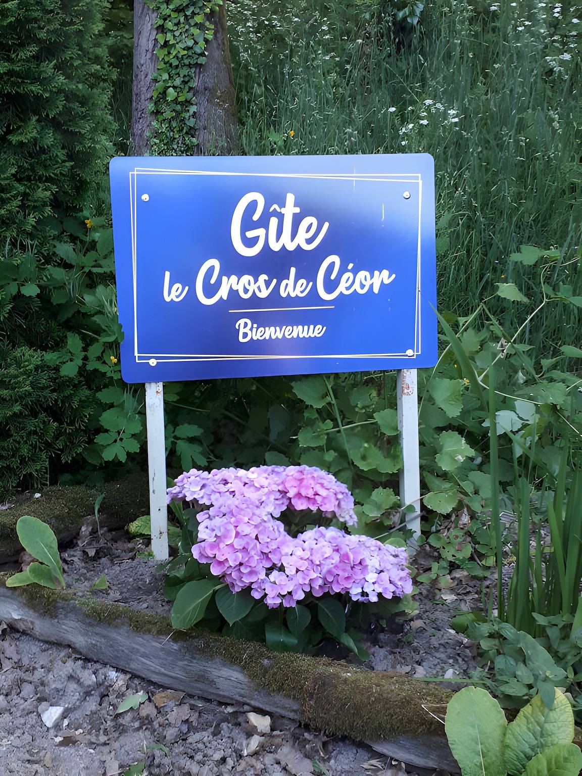 Gîte le cros de Céor  in Cassagnes-Bégonhès, Massif central