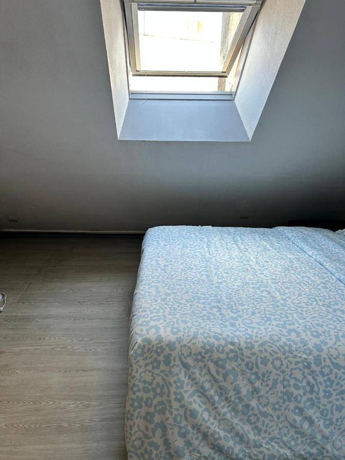 Gîte pour 3 personnes, avec vue, animaux acceptés dans Office De Tourisme De Carhaix Et Du Poher - 2