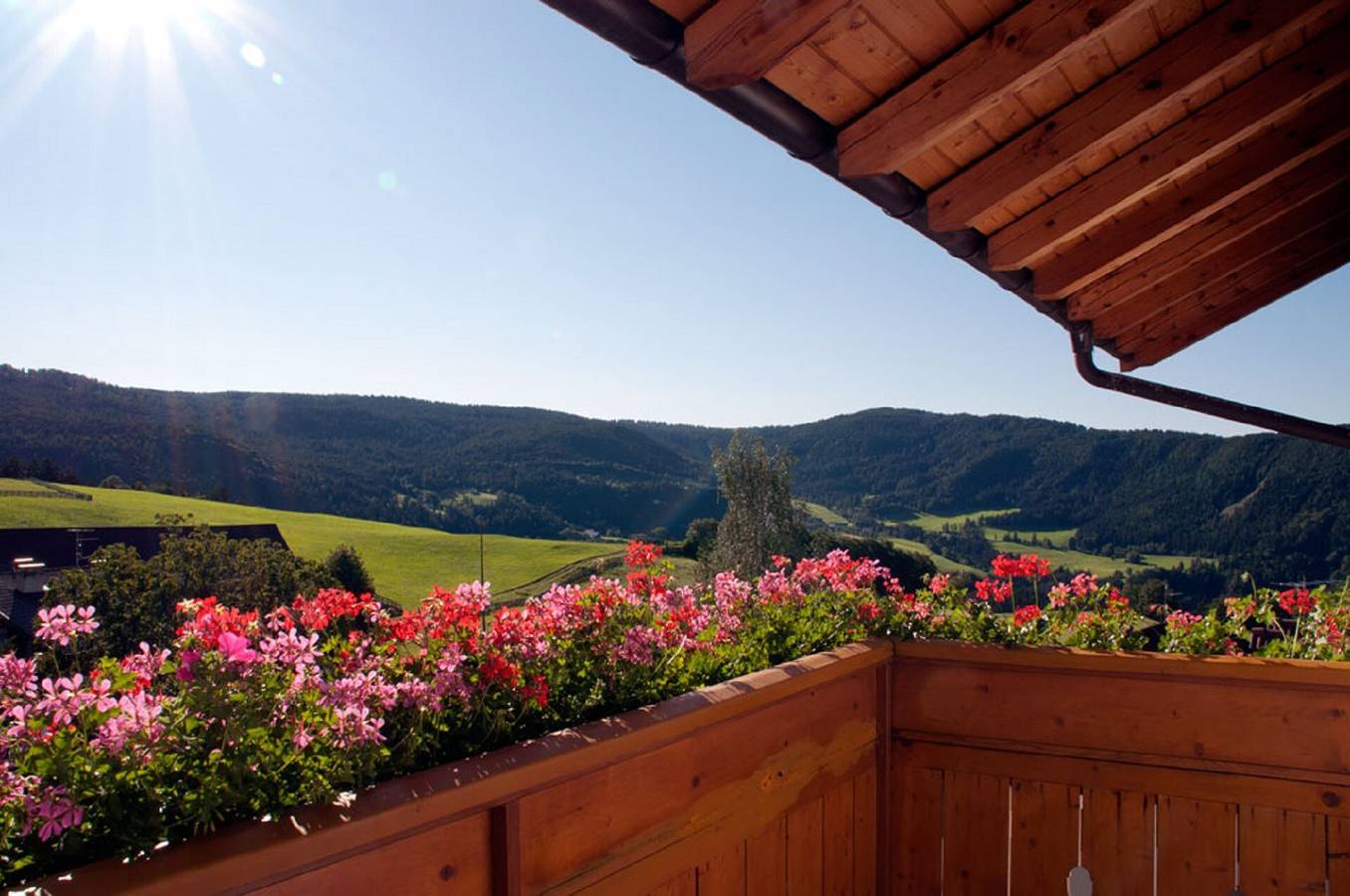 Appartement entier, Appartement de vacances "Mölten" avec vue sur la montagne, Wi-Fi, balcon et jardin in Salonetto, Meltina