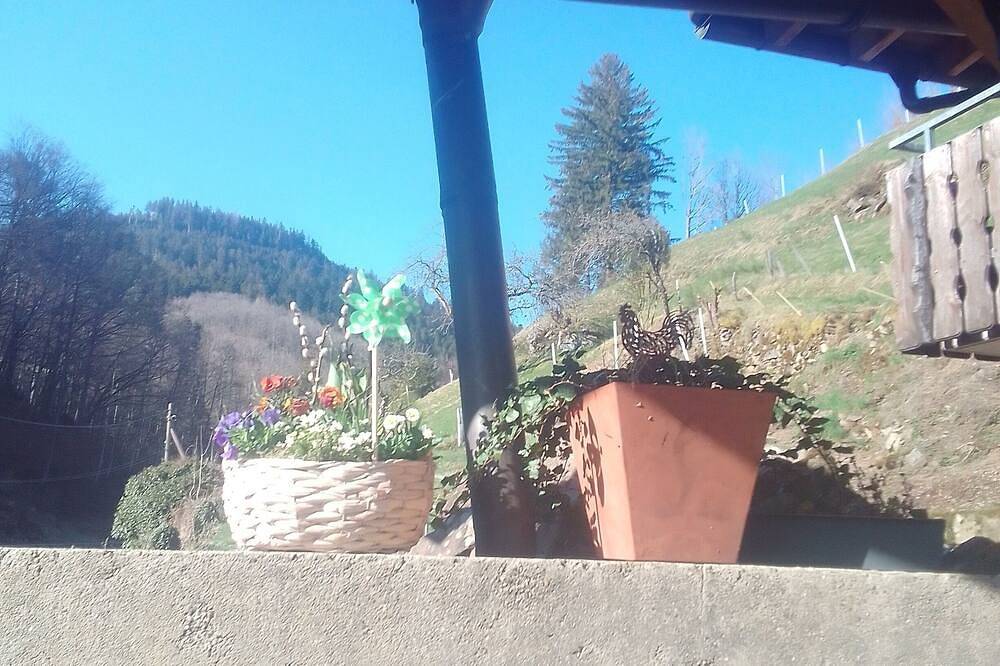 Entire apartment, Naturnahe Ferienwohnung mit Außenbereich. Haustierfreundlich! in Bad Peterstal-Griesbach, Central Black Forest
