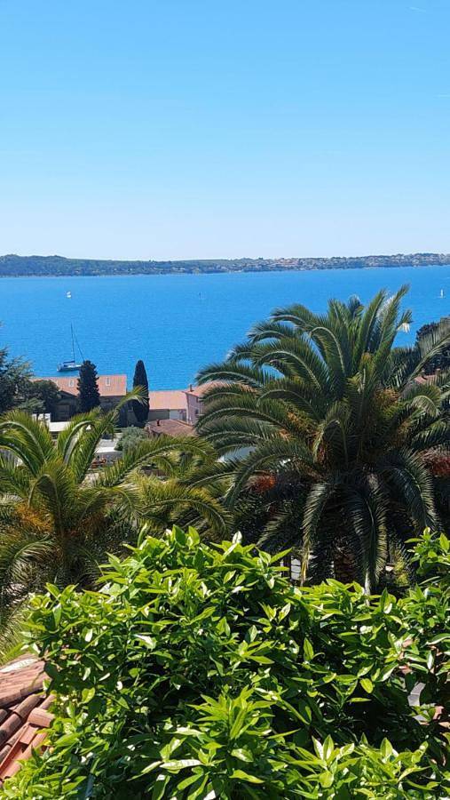 Cały apartament, Apartma Ursa in Piran, Slovene Riviera