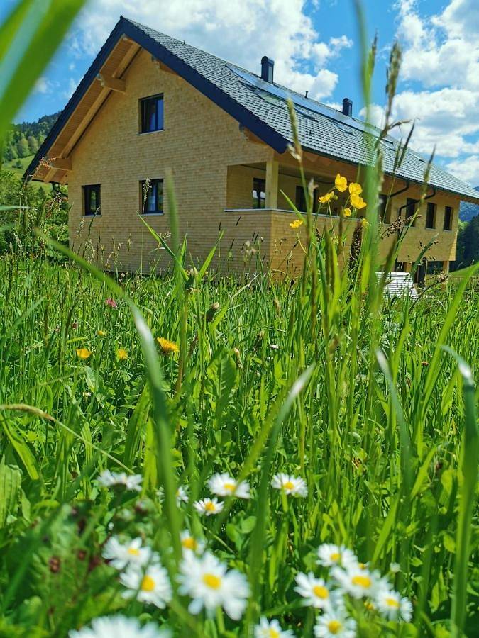 Ganze Wohnung, One-Bedroom Apartment in Hittisau, Bodensee-Vorarlberg