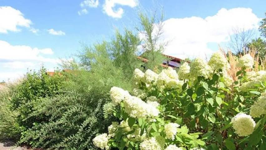 Ferienhaus für 2 Personen, mit Terrasse und Garten in Hollern-Twielenfleth - 3