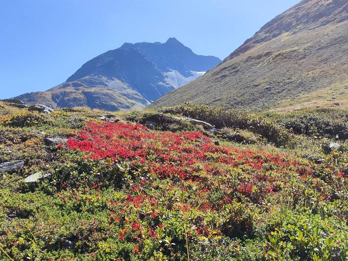 Ferienwohnung für 9 Personen, mit Balkon und Sauna, kinderfreundlich in Sankt Jakob in Defereggen - 3