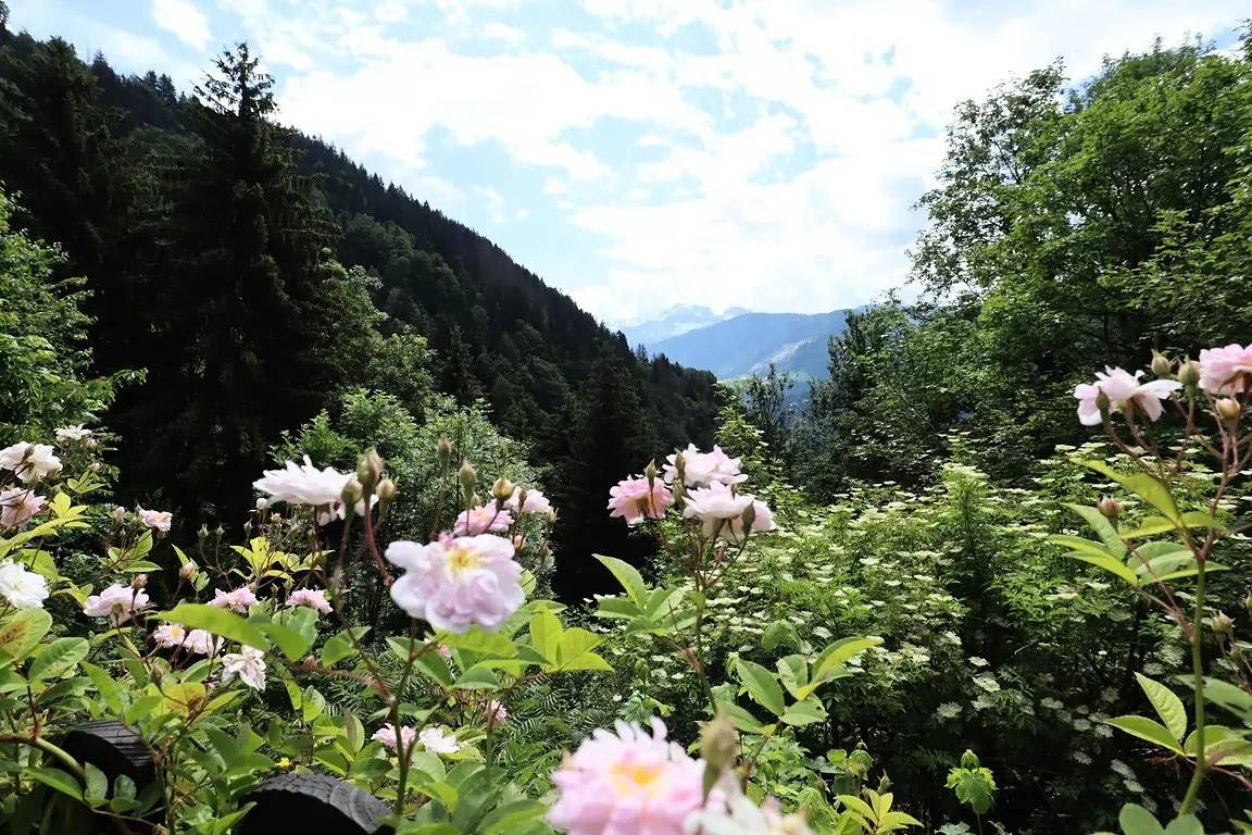 Anfälle bei 15 Minuten. Schönes renoviertes Chalet für 10 bis 12 Personen. in Villard-sur-Doron, Albertville und Umgebung