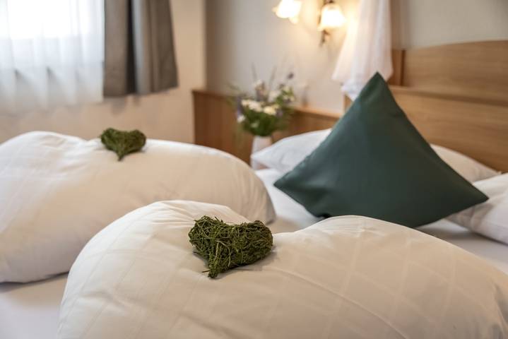 Hütte für 4 Personen, mit Garten und Sauna in Ahrntal - 2