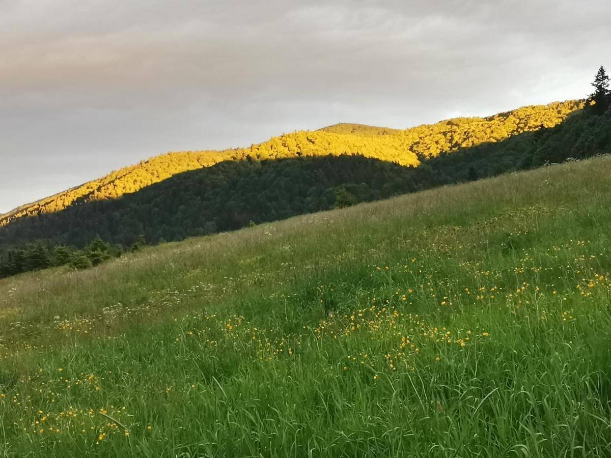 Klementówka in Bieszczady
