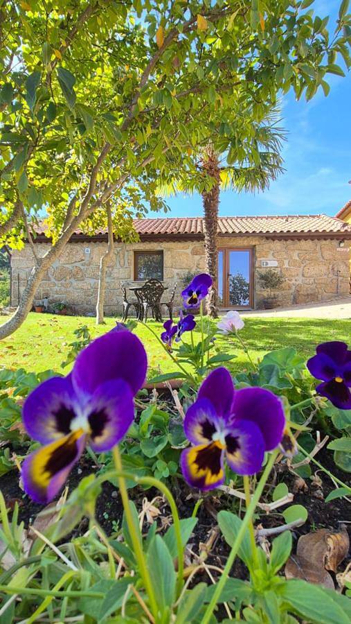 Casa de férias para 6 pessoas, com vista e piscina e ainda jardim, com animais de estimação em Covilhã