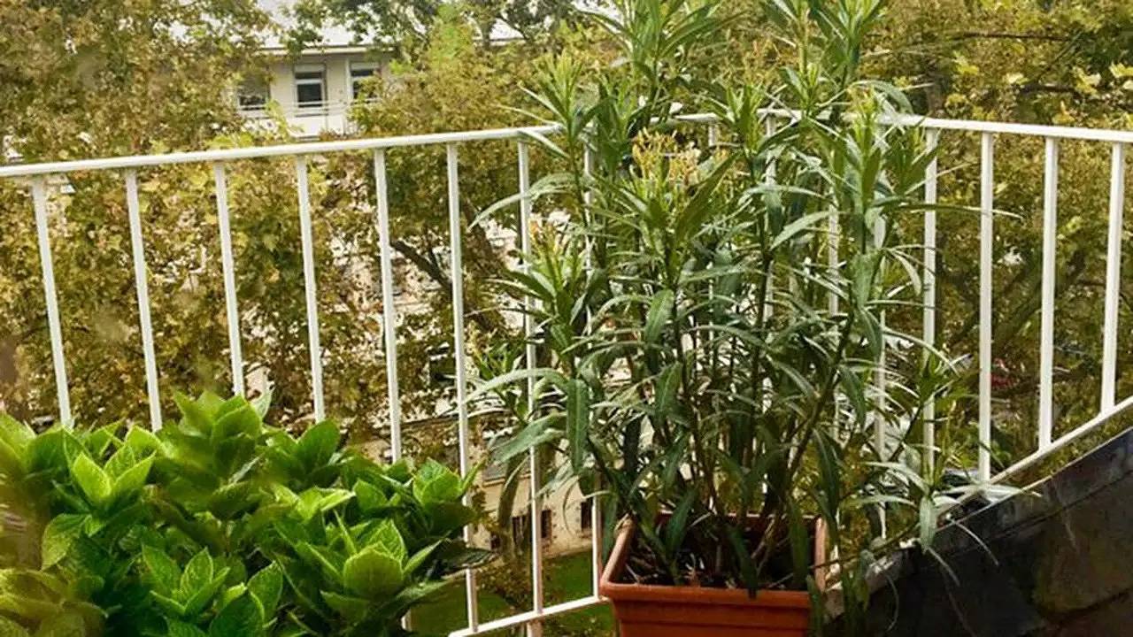 Apartamento vacacional entero, Ferienwohnung für 3 Personen (69 m²) in Mainz in Maguncia, Hesse Renano