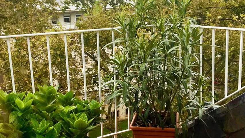 Ferienwohnung für 3 Personen, mit Balkon in Rheinhessen - 3