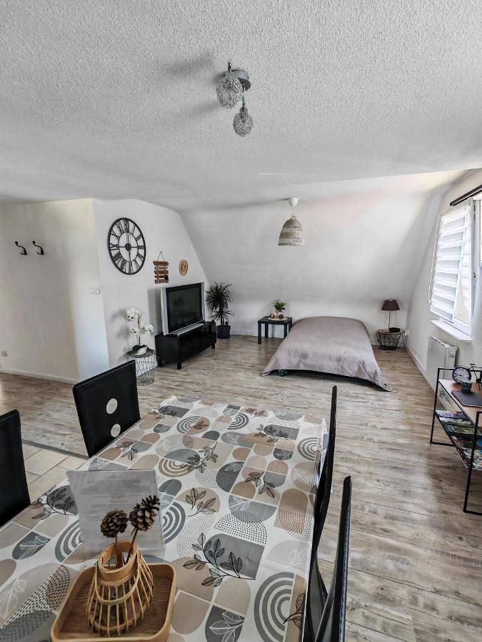 Gîte pour 4 personnes, avec vue et jardin, animaux acceptés à Wintzenheim - 3