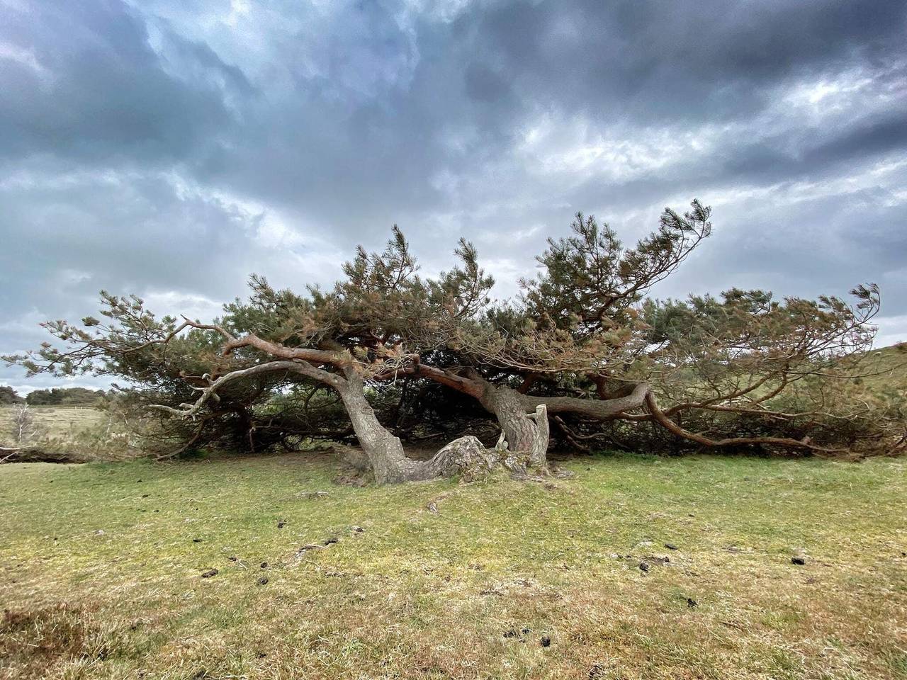Ruhiger Ruckzugsort in Rageleje-By Traum in Vejby, Kattegat Küste