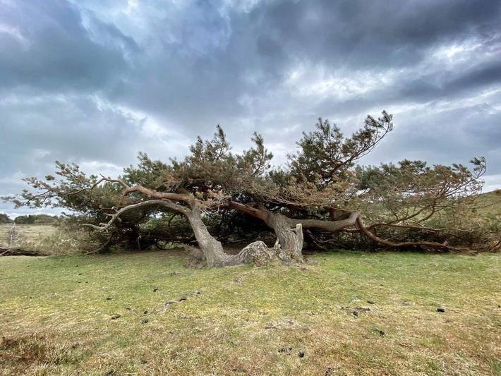 Ferienhaus für 4 Personen, mit Garten, kinderfreundlich an der Kattegat Küste - 3