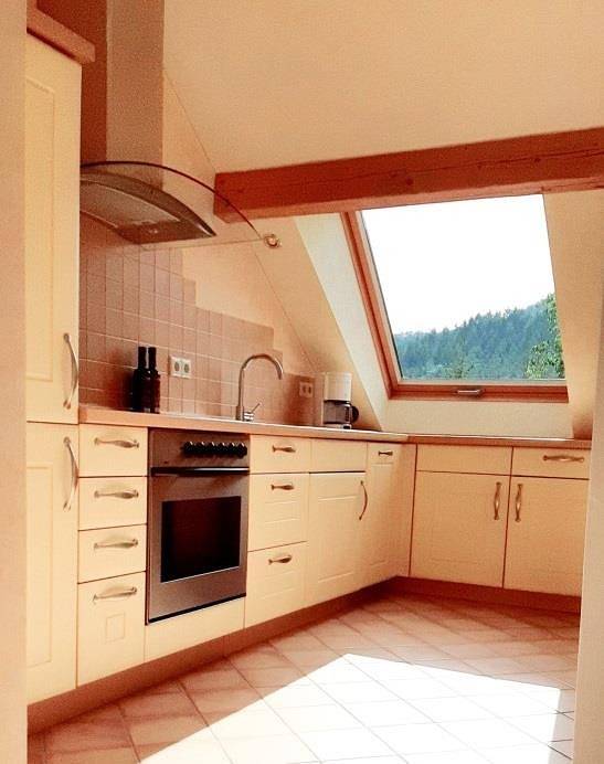 Ganze Ferienwohnung, Appartement/Fewo, Dusche und Bad, Wc, 1 Schlafraum in Fischbach bei Dahn, Landkreis Südwestpfalz