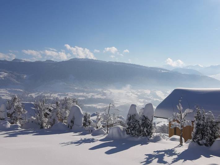 Ganze Ferienwohnung, Ferienwohnung Panorama - neue Ferienwohnung in Bregenzerwald (Vorarlberg), Sulzberg (Österreich)