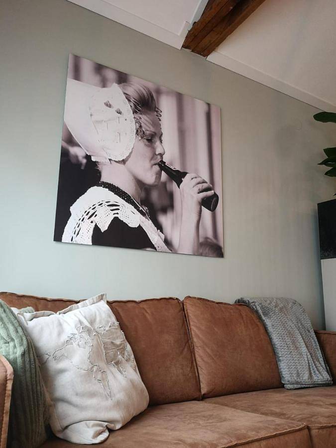 Geheel appartement, Stads-Loft Goes in Goes, Nederlandse Noordzeekust