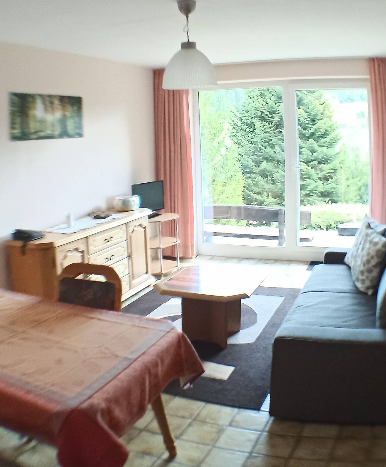 Ganze Wohnung, Ferienwohnung Tanne - gegenüber vom Ski-Lift mit eigener Terrasse, Garten und Blick ins Grüne in Schönwald, Südschwarzwald