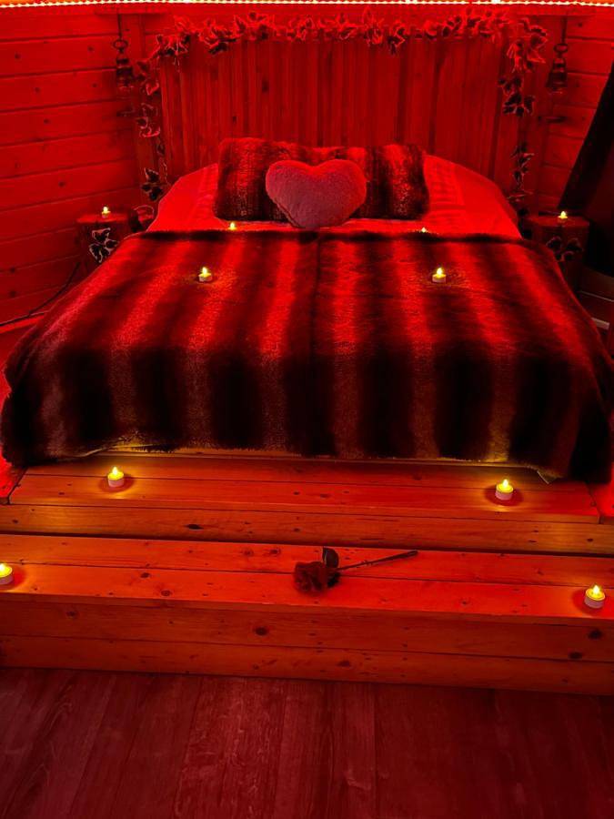 Chalet pour 2 personnes, avec vue ainsi que terrasse et jardin dans le Haut-Rhin - 3