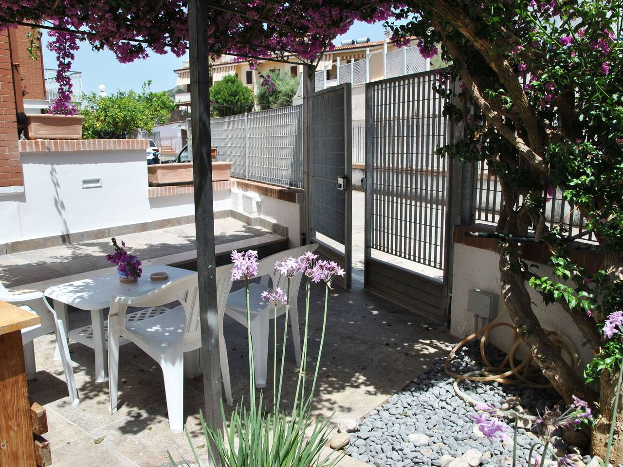 Bouganville - Bouganville 29.1 in Sperlonga, Latina Provinz