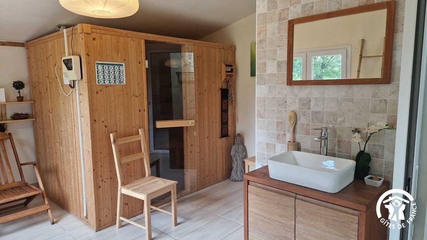 Gîte pour 9 personnes, avec sauna ainsi que piscine et jardin, animaux acceptés à Rabastens - 4