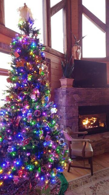 Glamping for 10 Guests in Blue Ridge Mountains, Chattahoochee National Forest, Picture 3