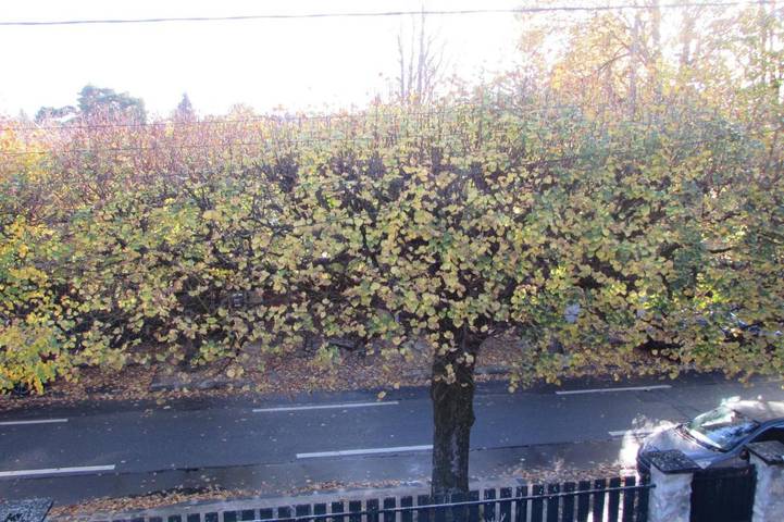 Location de vacances pour 4 personnes, avec vue et jardin à Milly-la-Forêt - 2