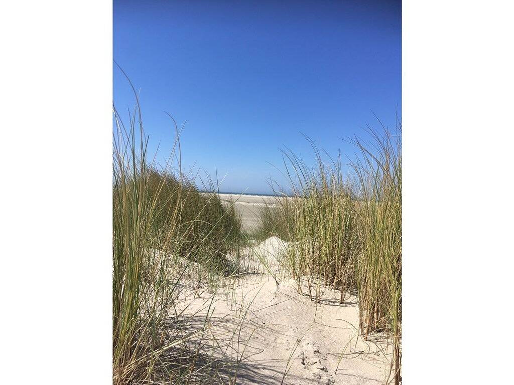 De Zuidhoek 1 "De Garnaal" in Renesse Strand, Renesse