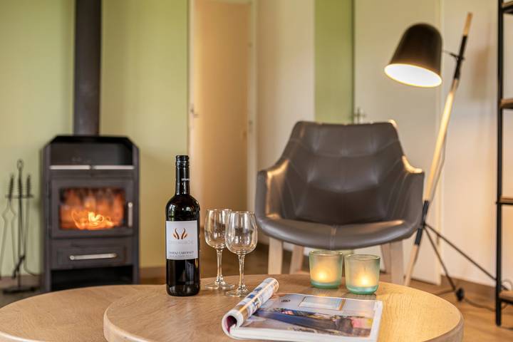 Bungalow für 6 Personen mit Terrasse in Holten, Sallandse Heuvelrug