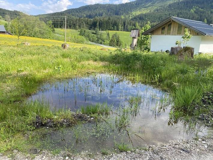 Ferienhaus für 6 Personen, mit Garten, mit Haustier in Rußbach am Paß Gschütt - 4