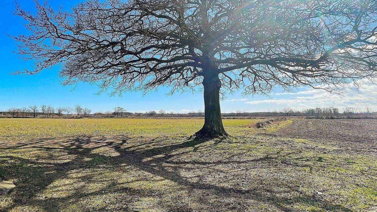 Ferienhaus für 6 Personen (105 m²) in Färjestaden in Öland