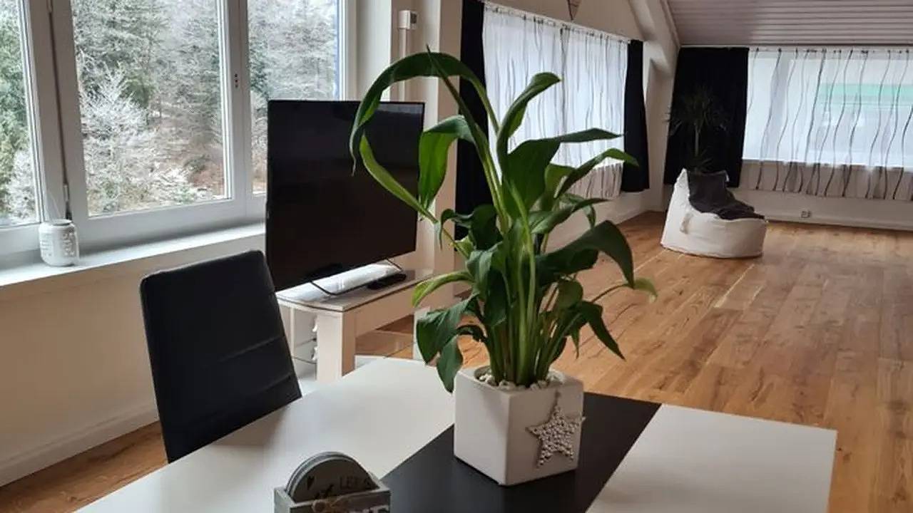 Appartement de vacances entier, Ferienwohnung für 3 Personen (90 m²) in Ried (Muotathal) in Ried (Muotathal), Muotathal