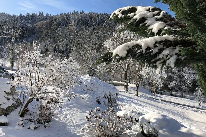 Agriturismo für 3 Personen, mit Garten in Waldkirch