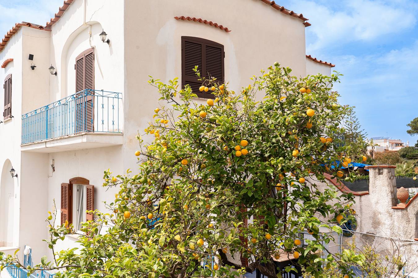 Apartamento entero, Villa Comar in Forio, Ischia