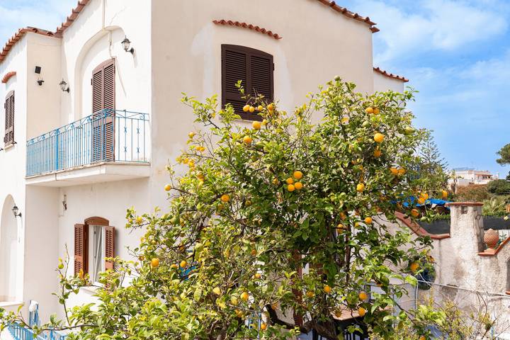 Gîte pour 4 personnes, avec jardin à Forio - 3